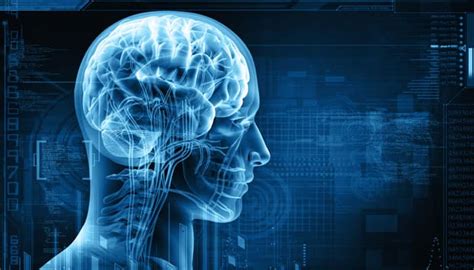 Human brain decodes basic language like monkeys | Science News | Zee News
