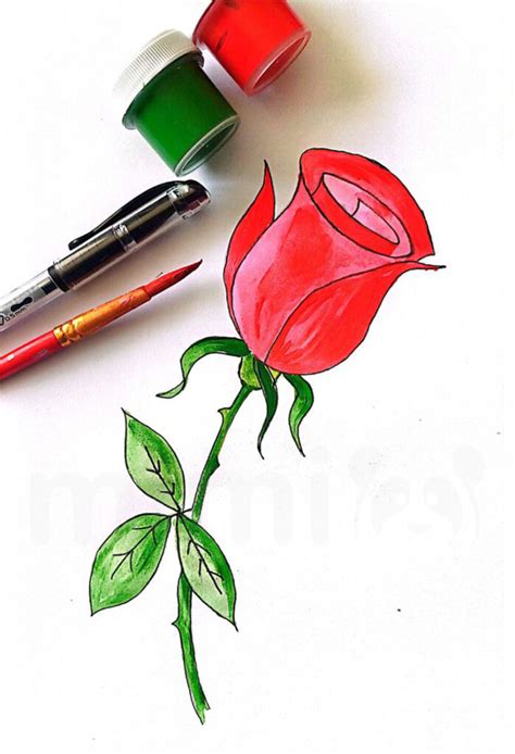 Image result for Rose Drawing Tutorial