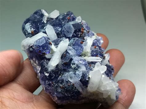 具日本双晶的水晶+黄铁矿_Crystal_国家岩矿化石标本资源共享平台