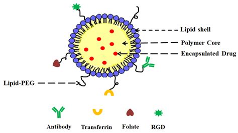 Lipid Polymer Example Lipids: Properties, Structure, Classification,
