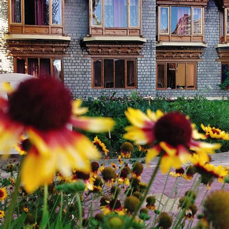 HOTEL SILKWAY (Leh, Ladakh) - Lodge Reviews & Photos - Tripadvisor