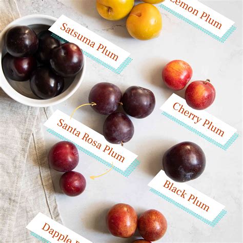 Your Guide to Plums: Varieties, Season, and How to Pick the Best One