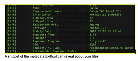 Metadata File Format 的图像结果