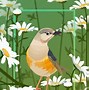 Image result for 花鸟画 Flowers and Birds