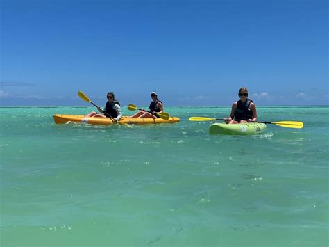 Image result for Kayak Types Differences