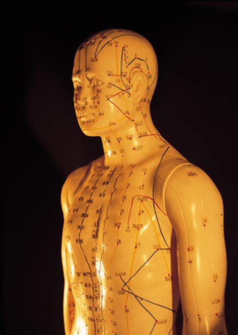 Image result for TSH