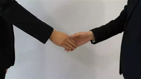 握手 的图像结果