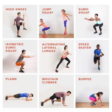 Exercise Routine 的图像结果