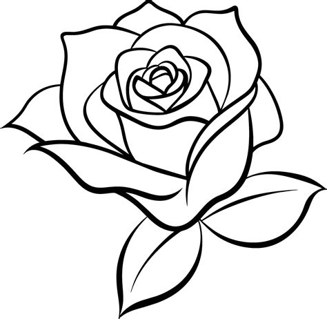 Image result for Use API in Code