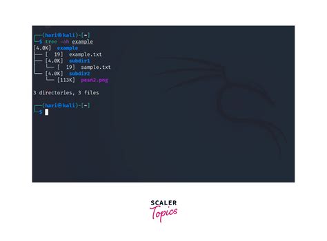 Image result for Check Folder Size Linux