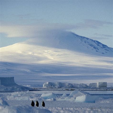 南极洲从哪里来？3400万年前，南极洲成了南极洲 - 知乎