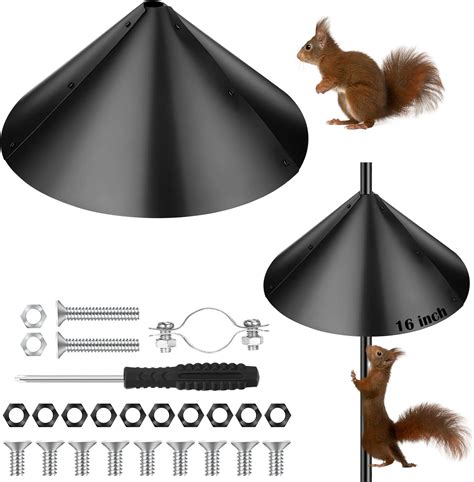 Amazon.com : Qualirey Squirrel Baffle for Bird Feeder Bird House Guard ...