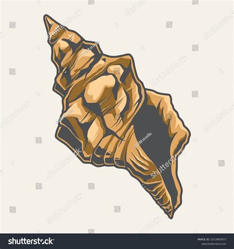 3,886 Sea shells badge 图片、库存照片和矢量图 | Shutterstock