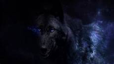 Black Wolf Wallpaper 1920x1080 by Wolf Backgrounds 81 Images Black Wolf Wallpaper 1920x1080