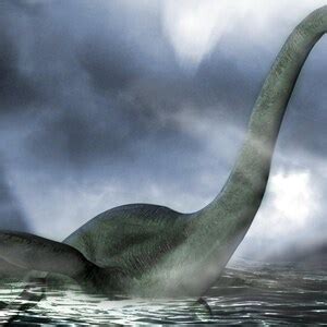 Colossal Question Mythical Creatures 的图像结果