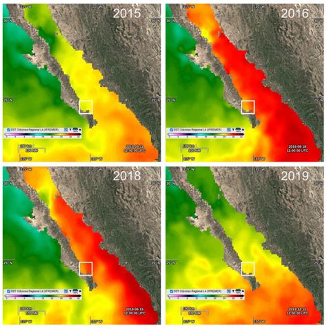Epibenthic Dinoflagellates in the Southern Gulf of California: Species ...