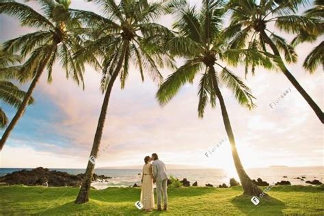 Hawaii Marriage Proposal 夏威夷欧胡岛之求婚之旅🏖️ 【夏威夷自駕行Vlog #1】| Wongasaurus