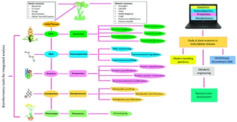 Stress Biology 的图像结果