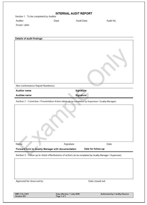 Image result for Audit Report Examples