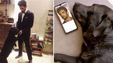 Sushant Singh Rajput’s Pet Dog Fudge ‘Dies’ After Shunning Food ...