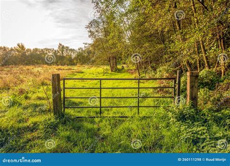 Iron Gate between Two Wooden Beams Stock Photo - Image of brabant ...