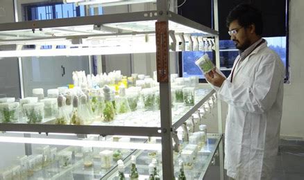 Official Website of Alagappa University - Karaikudi, Tamilnadu, India