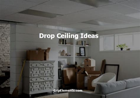 Image result for Drop Ceiling Ideas
