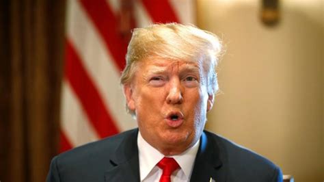 Support for Trump correlates to high opioid use: Study - IBTimes India