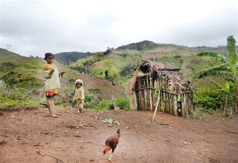 Local People of Forest and Wildlife 的图像结果
