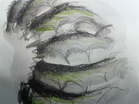 Image result for Pen Shell Drawing