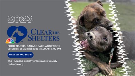 Homepage - Humane Society of Delaware County