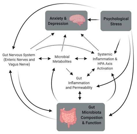 https://pub.mdpi-res.com/microorganisms/microorganisms-09-00723/article_deploy/html/images/microorganisms-09-00723-g001.png?1628009952=