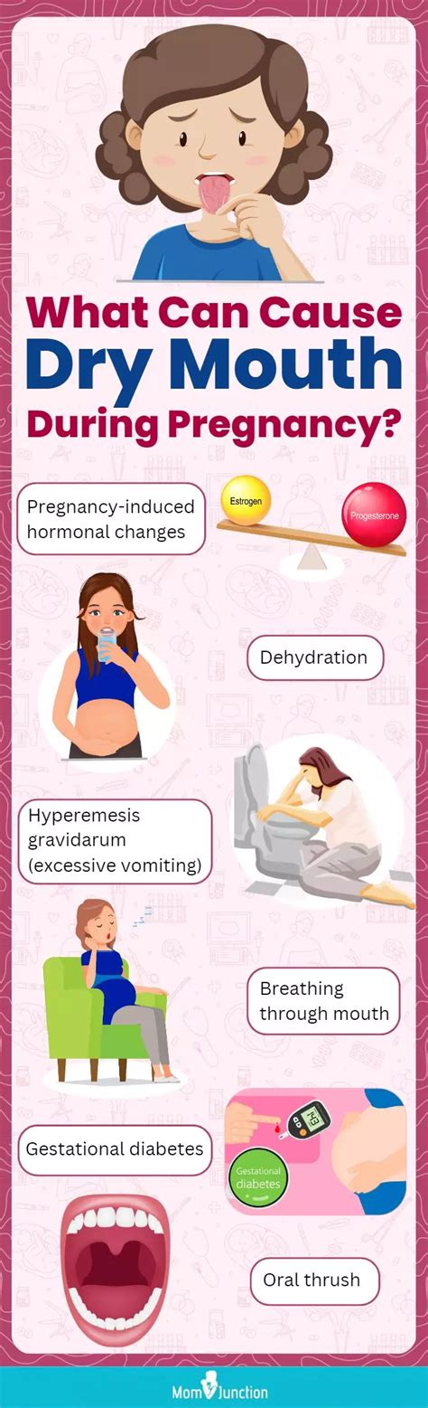 Dry Mouth During Pregnancy: Causes, Symptoms And Treatment