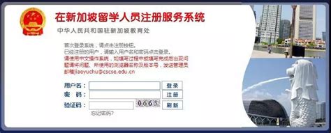 如何办理新加坡留学回国人员证明.docWord模板下载_编号qpyjejyb_熊猫办公