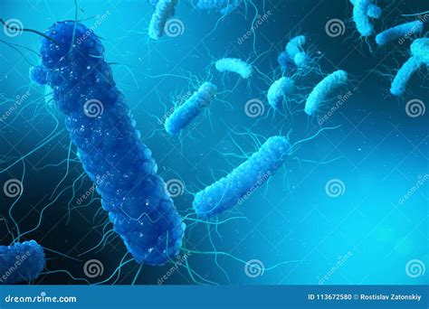 3D Illustration Enterobacterias. Gram Negativas Proteobacteria, Bacteria Such As Salmonella ...