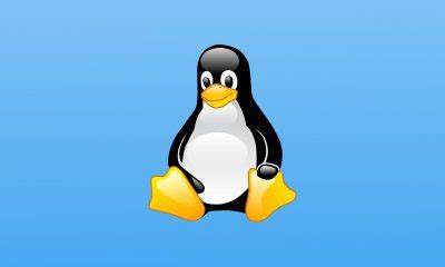 Linux Server Operating System 的图像结果