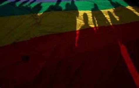 Job Reservation For Transgenders In Argentina: Transgender job quota ...