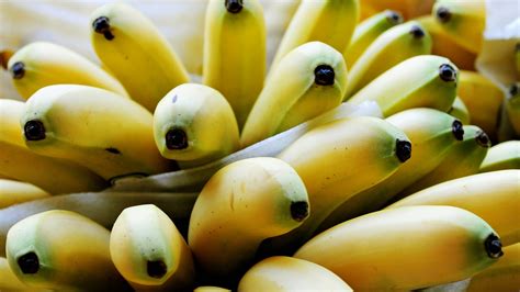 Shifting Landscape of Ecuadorian Banana Exports | Produce Report