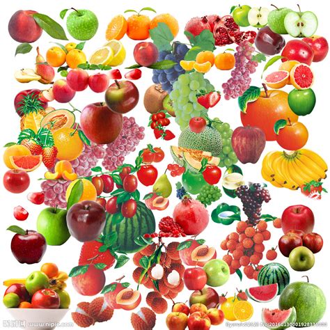 各种水果设计图__图片素材_其他_设计图库_昵图网nipic.com
