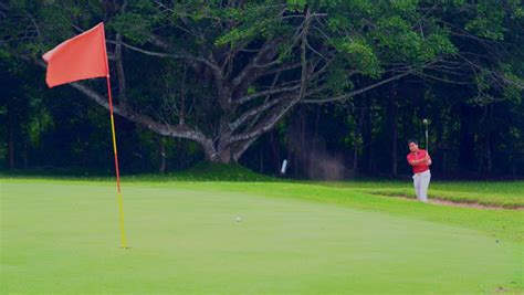 Golf运动 的图像结果