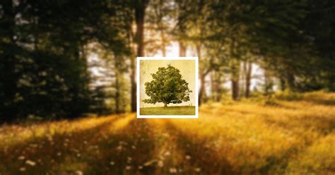 Obituary | Richard L. Topper of Cookeville, Tennessee | Whitson Funeral ...