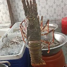 Best Top Rated Fish store in Ahmedabad, Gujarat, India | Yappe.in