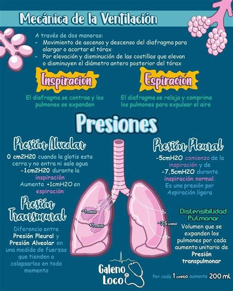 Pin de Andrea Otero en Aparato Respiratorio | Material de enfermeria ...