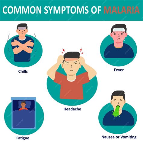 Premium Vector | Vector infographic of the common symptoms of malaria
