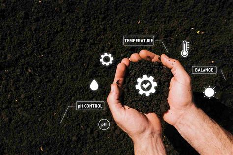 Methods Of Soil Management | Effective Practices to Follow