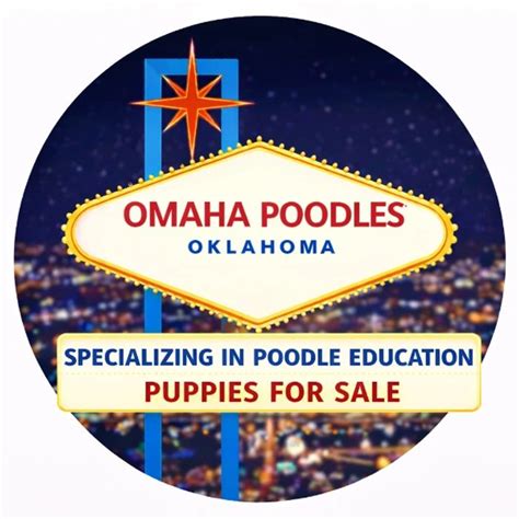 OMAHA POODLES - Poodles, Phantom, Sable, Brindle,parti, Standaed ...