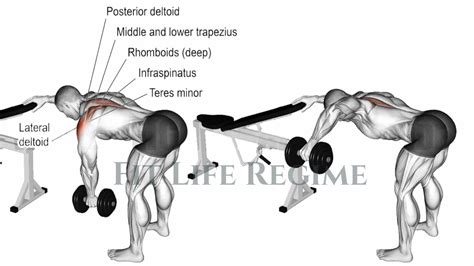 How To Do Bent Over Reverse Dumbbell Fly and Tips