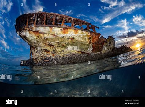 Image result for HMAS Protector