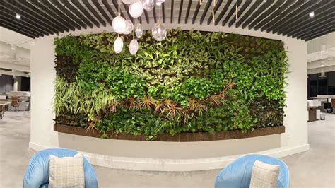 Living Green Wall Project Gallery — Vert Plantworks