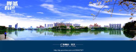 2022年禅城区公办小学报名方式(附报名网址)- 佛山本地宝